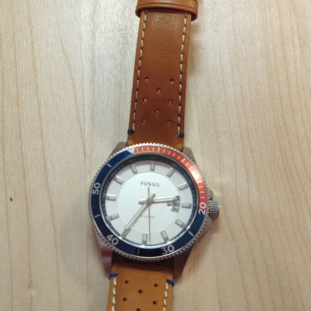 Fossil Watch